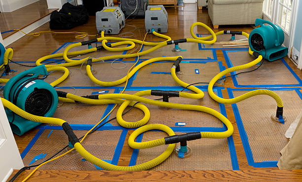 Professional Crawl Space Water Removal technician working in Pennsauken, NJ
